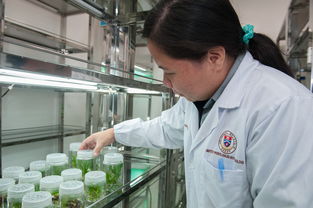 河南科技学院（LHIT）培养科技人才的摇篮  第1张