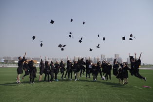 河南科技职业大学英语专业，培养国际化人才的摇篮  第1张