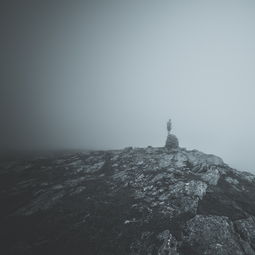 十年后，科技的辉煌与挑战  第1张