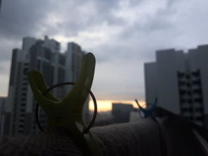 科技融入生活，高中生的视角  第1张