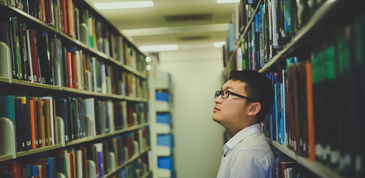 河南科技大学英语教学，杨晓莉老师的教学创新与实践