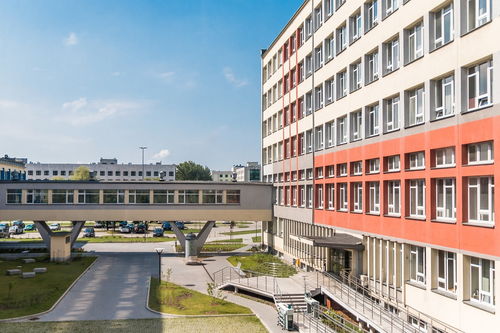 河南科技大学吴文澜，科技教育的先锋与创新者