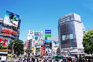 VR设备上市公司，技术革新与市场前景