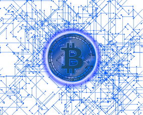 VR技术的别称及其在现代科技中的应用