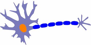 探索科技生活，科学手抄报模板的设计与应用